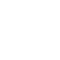 iconSecure-v-02